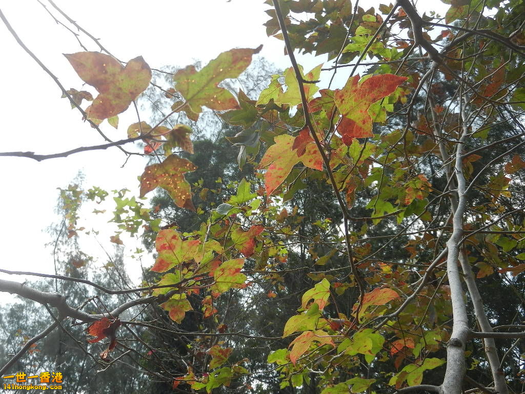 DSCN7773.JPG