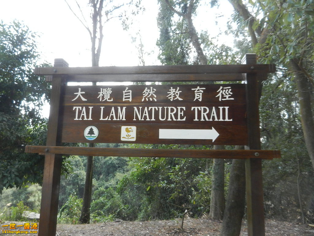 DSCN7785.JPG