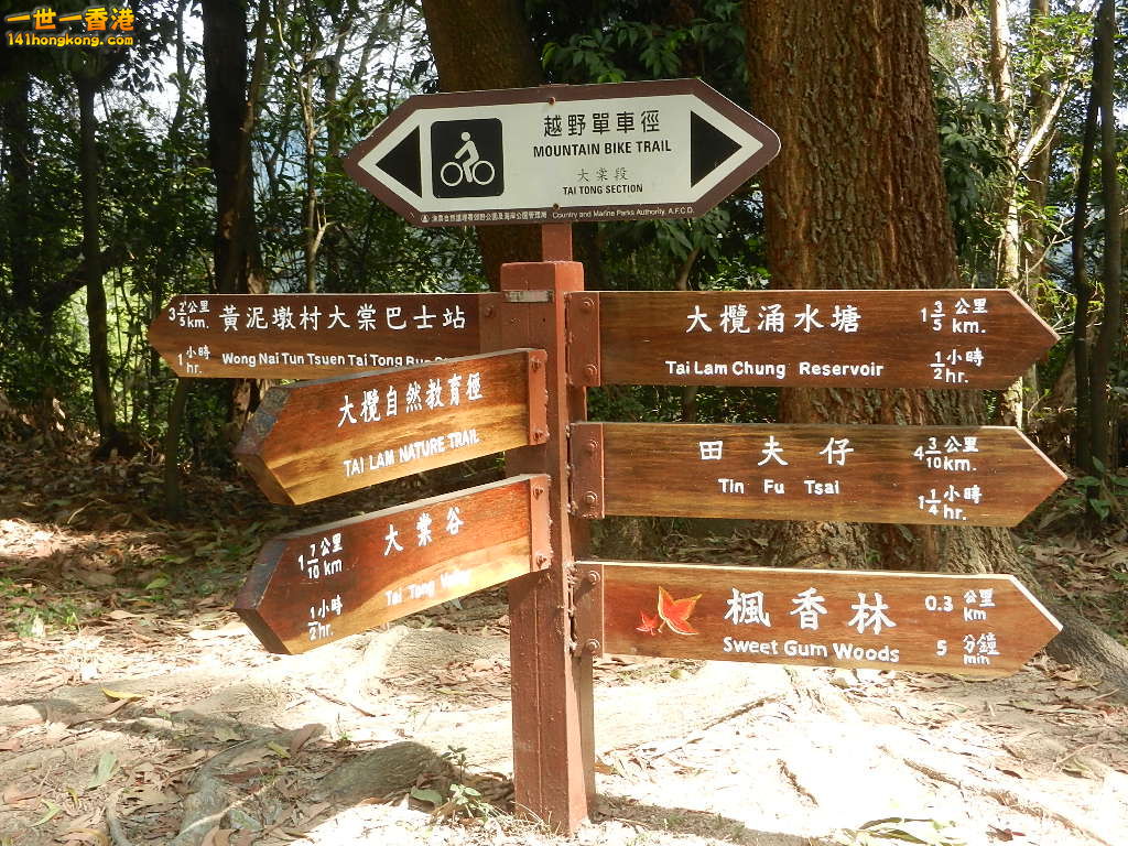 DSCN7788.JPG