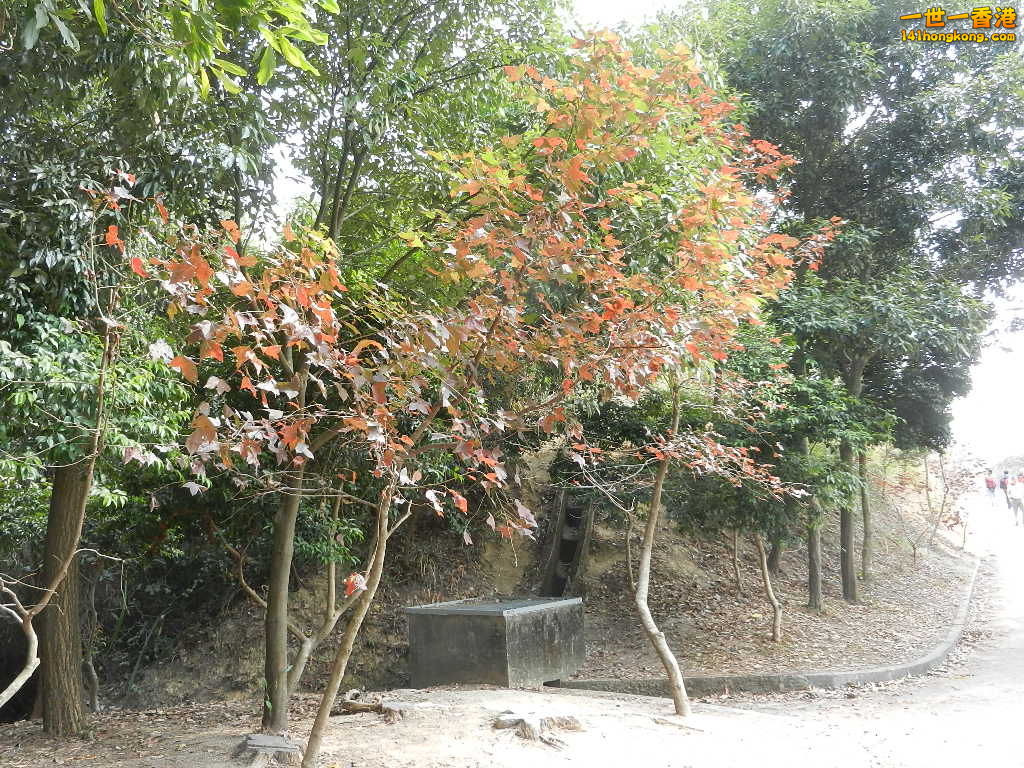 DSCN7817.JPG