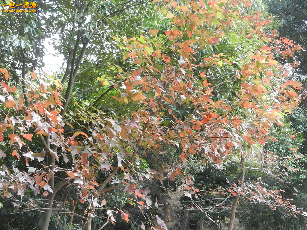 DSCN7818.JPG