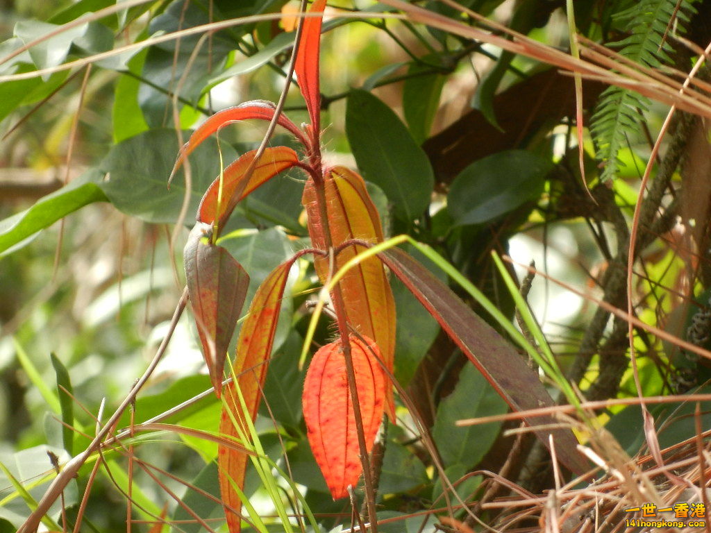 DSCN7824.JPG