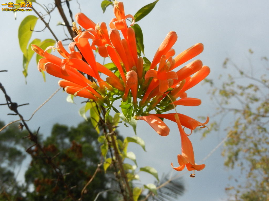 DSCN7828.JPG
