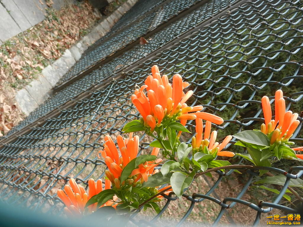 DSCN7830.JPG