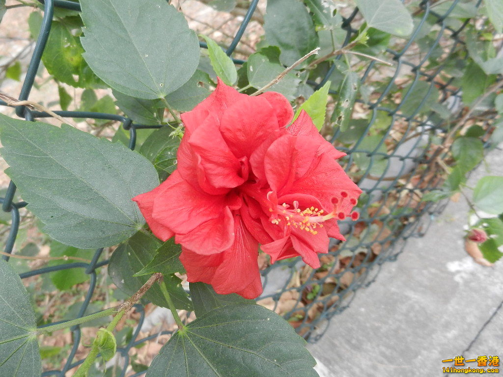 DSCN7832.JPG