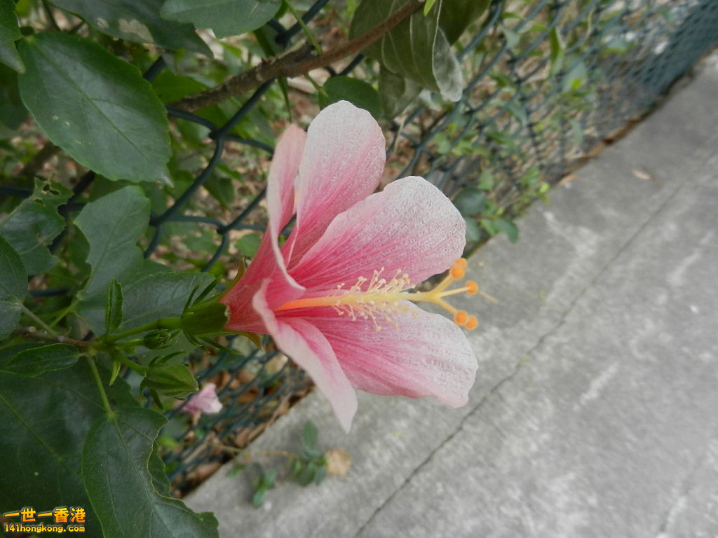 DSCN7833.JPG