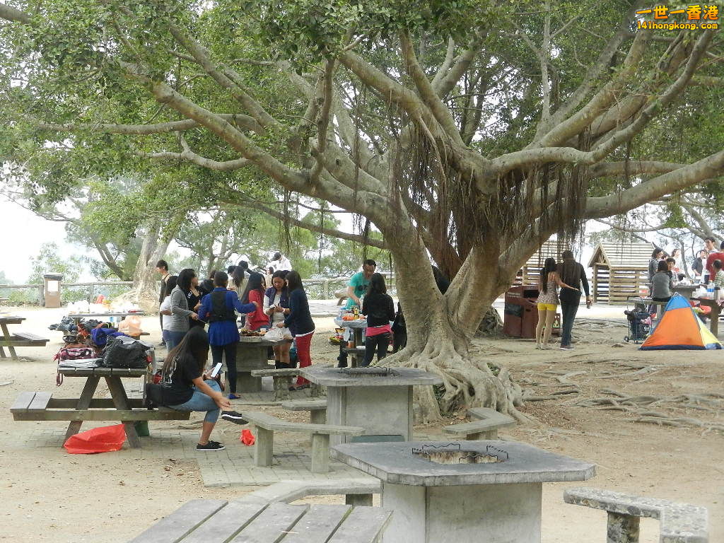 DSCN7835.JPG