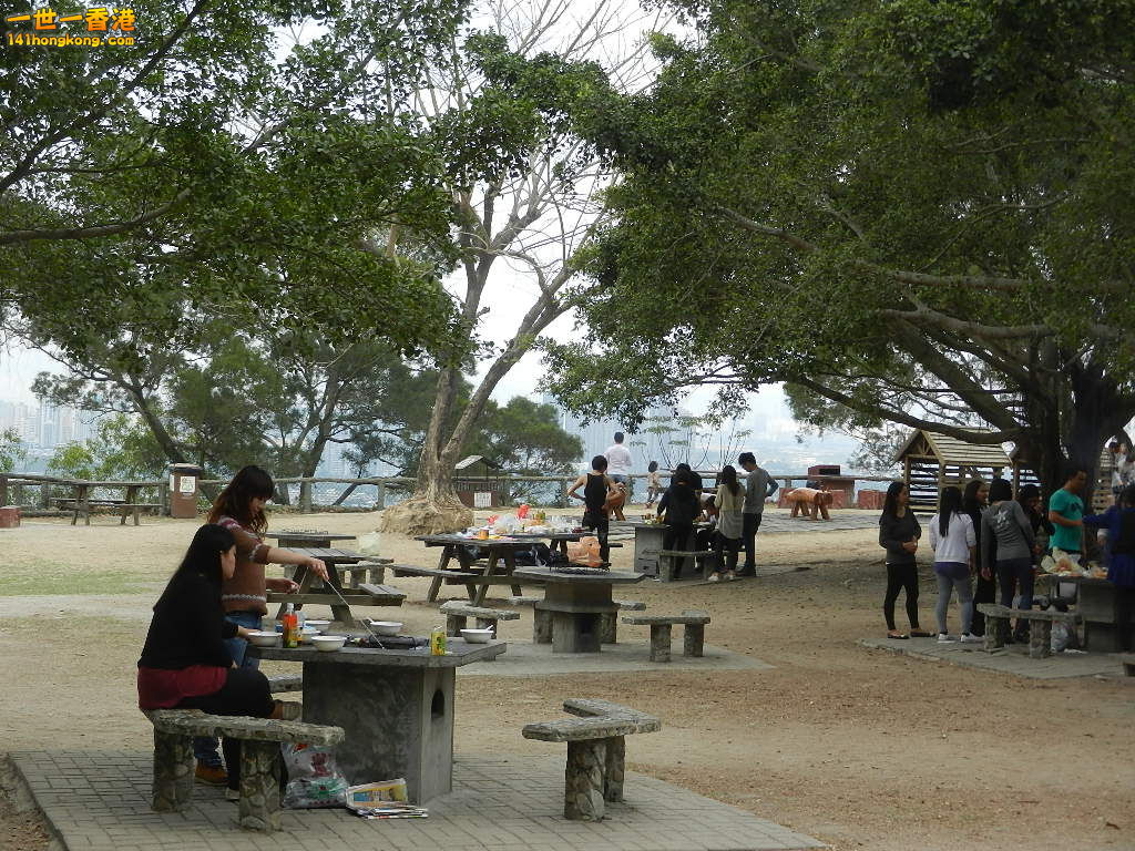 DSCN7838.JPG