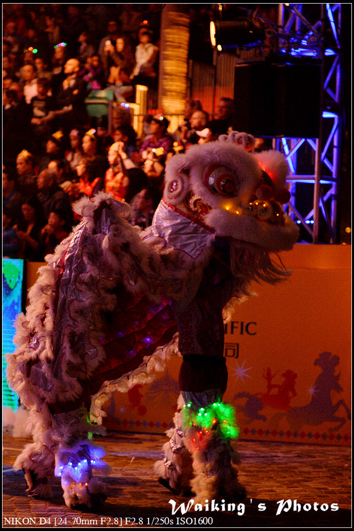 DSC_0686.jpg
