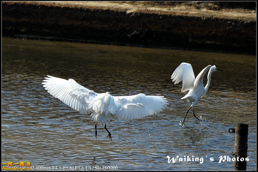 DSC_1398.jpg