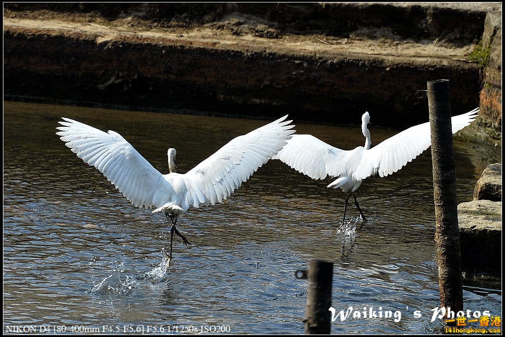 DSC_1400.jpg