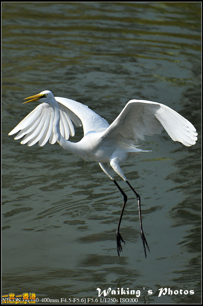 DSC_1420.jpg