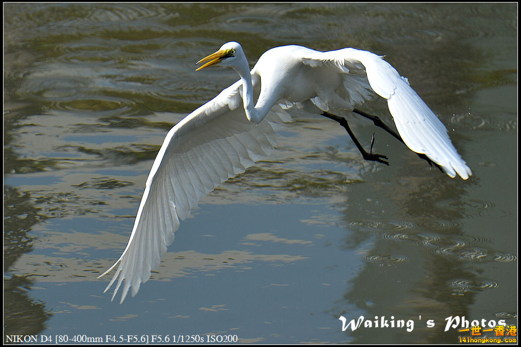 DSC_1416.jpg