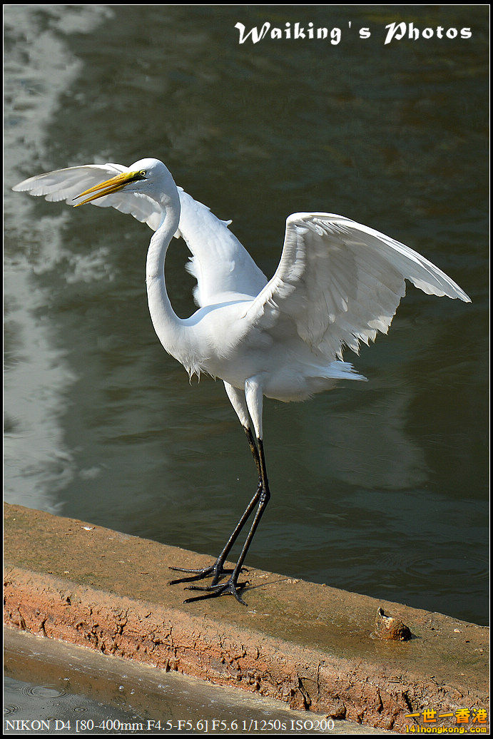 DSC_1424.jpg