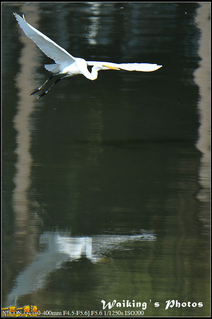 DSC_1469.jpg