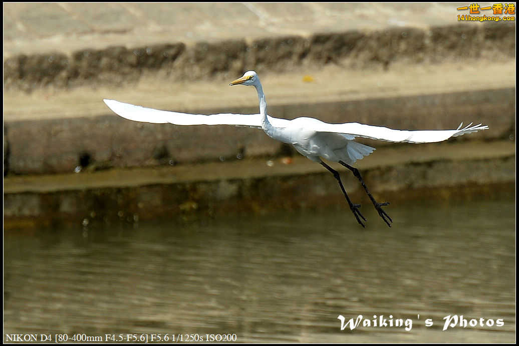 DSC_1570.jpg