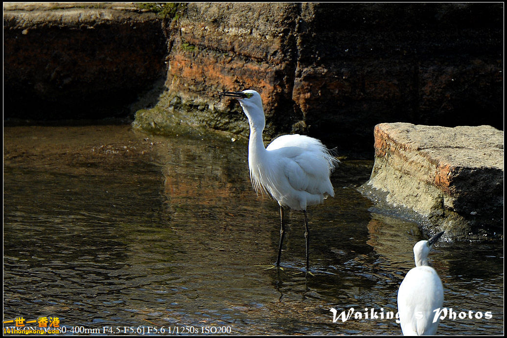 DSC_1629.jpg