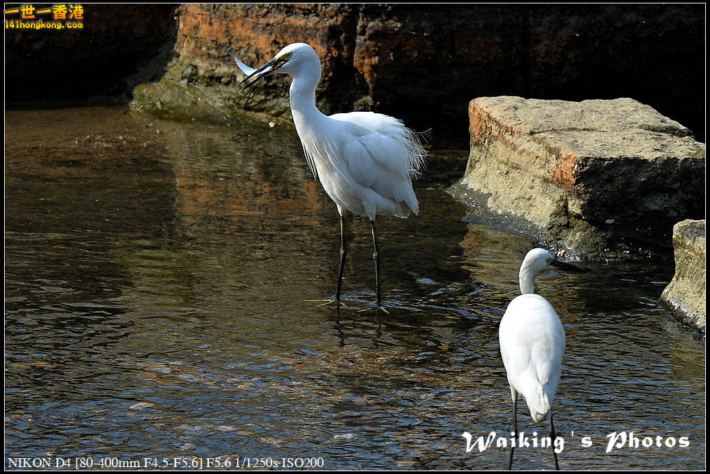 DSC_1616.jpg
