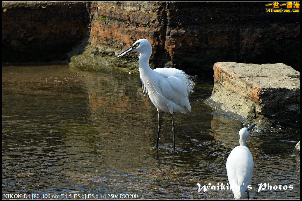DSC_1620.jpg