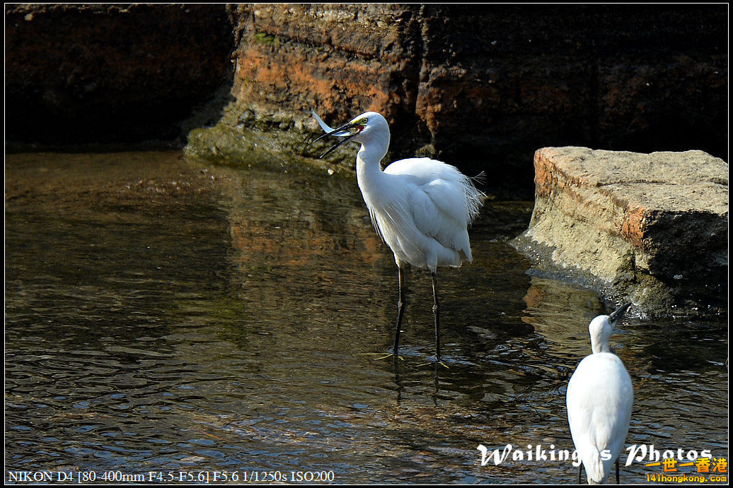 DSC_1623.jpg