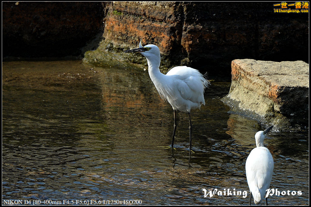DSC_1627.jpg