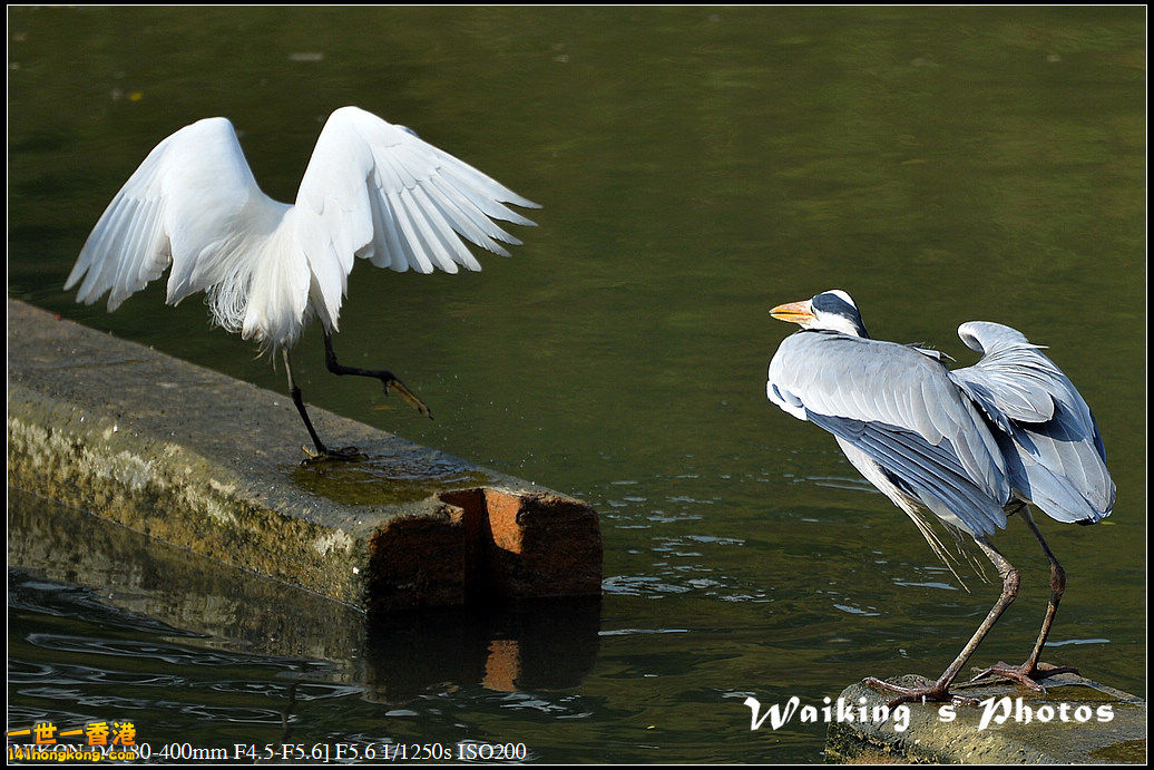DSC_1634.jpg