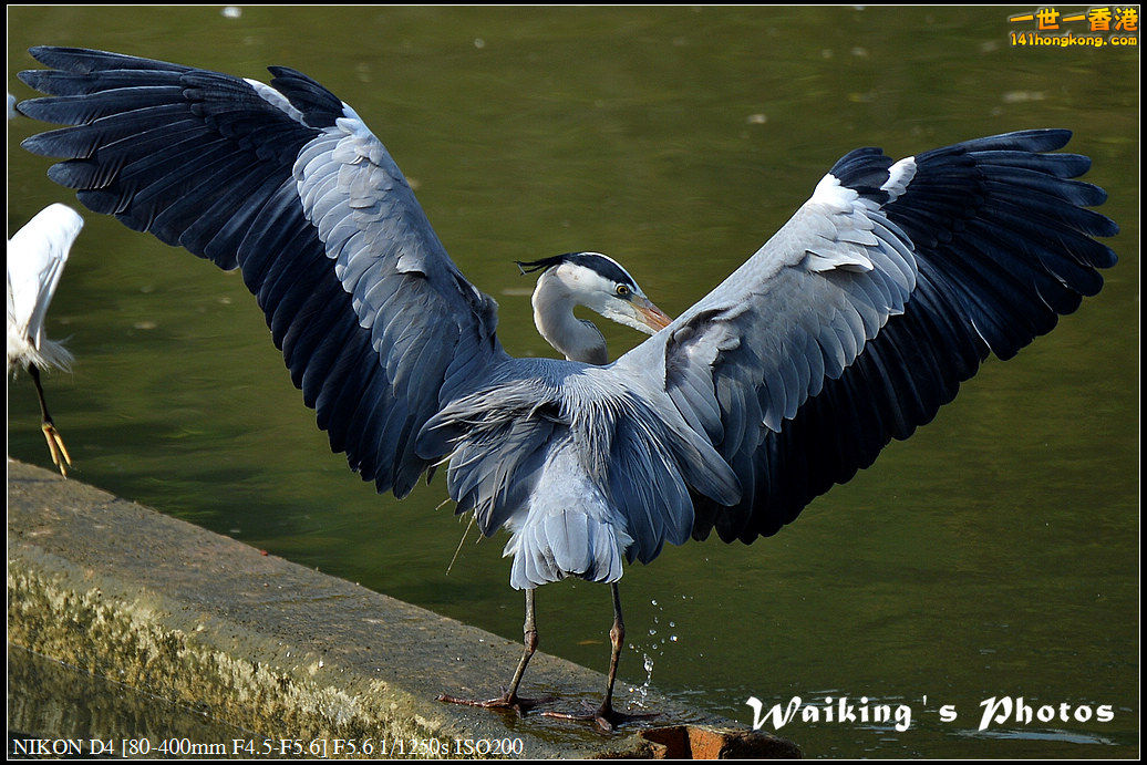 DSC_1638.jpg