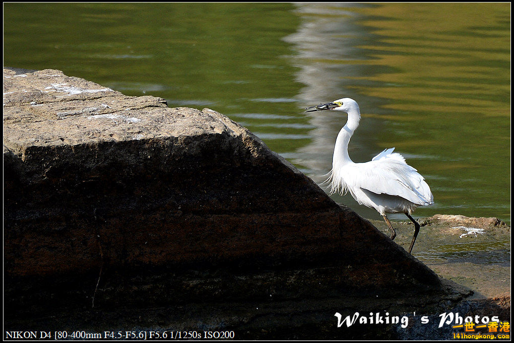 DSC_1672.jpg