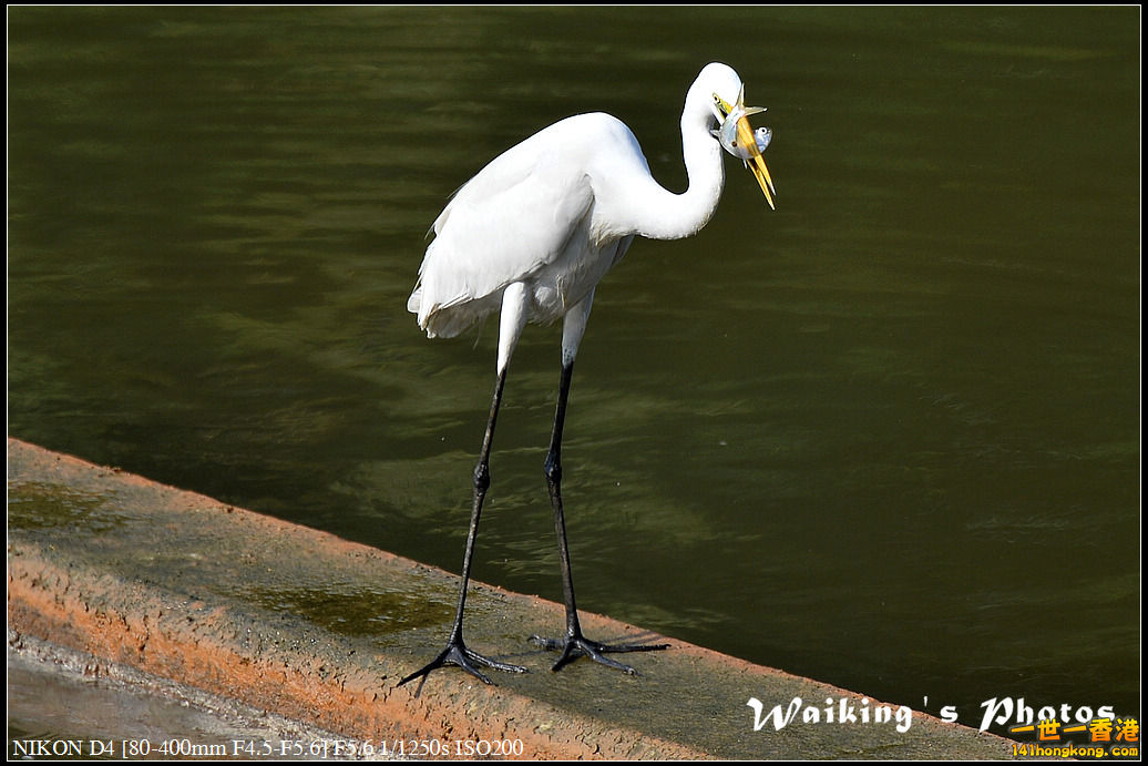 DSC_1739.jpg