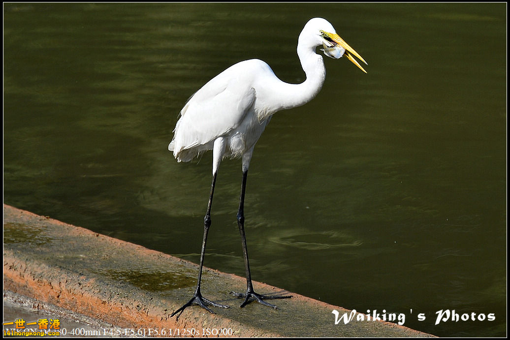 DSC_1744.jpg
