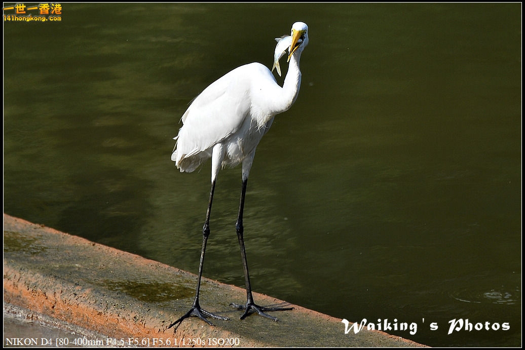 DSC_1755.jpg