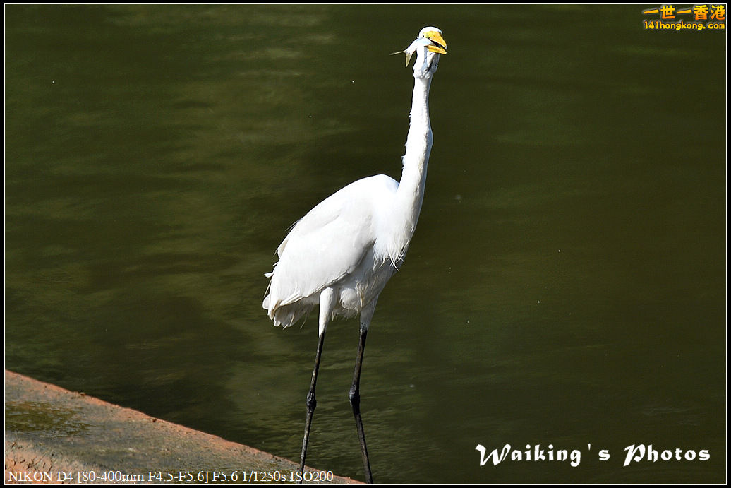 DSC_1758.jpg