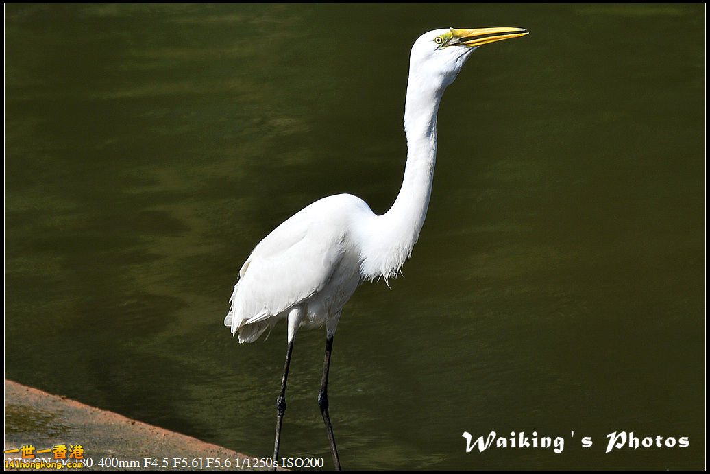 DSC_1765.jpg