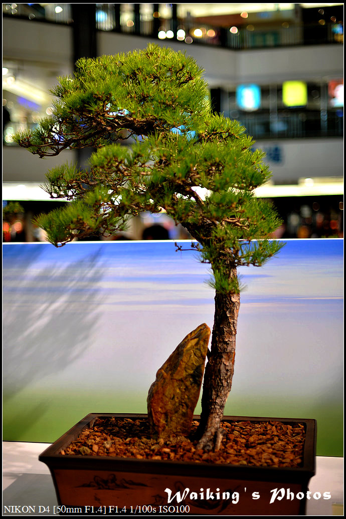 DSC_2037.jpg