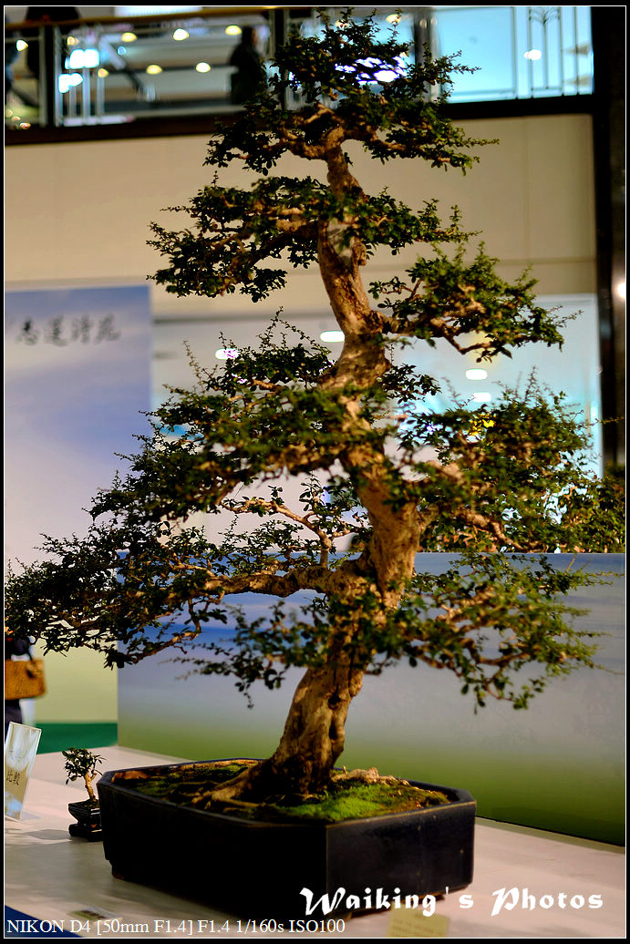 DSC_2057.jpg