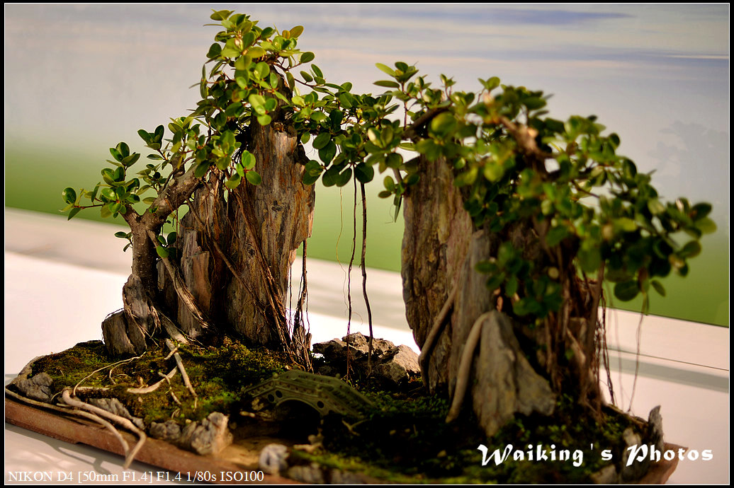 DSC_2062.jpg