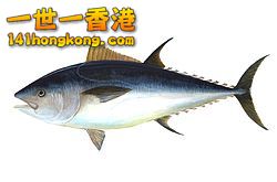 Bluefin-big.jpg