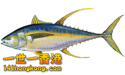 Thunnus albacares