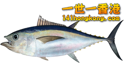 Thunnus_obesus