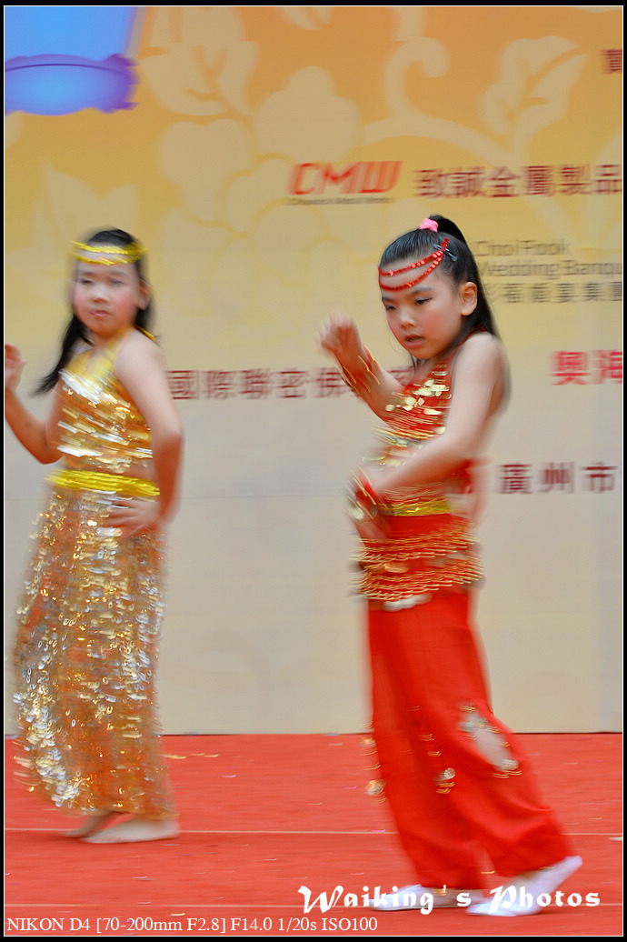 DSC_9533.jpg