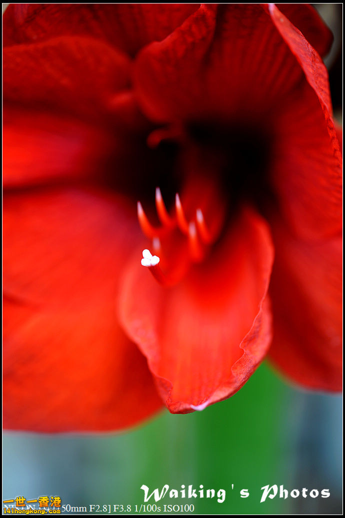 DSC_0570.jpg