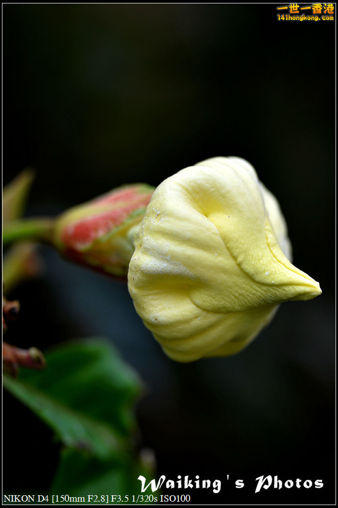 DSC_0575.jpg