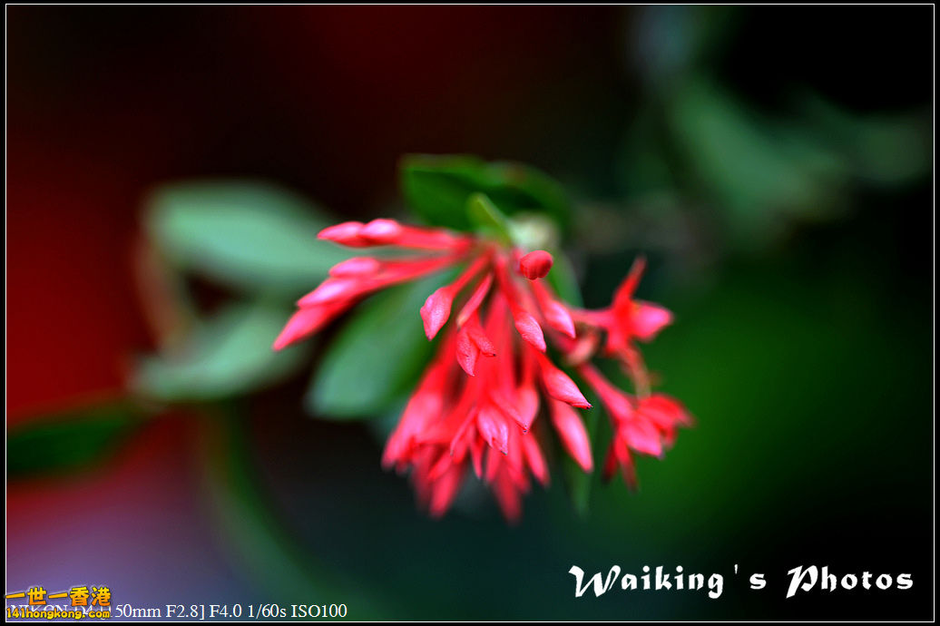 DSC_0580.jpg