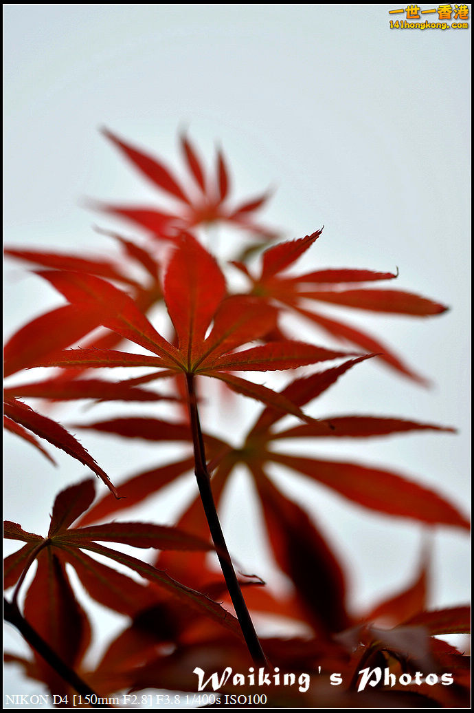 DSC_0625.jpg