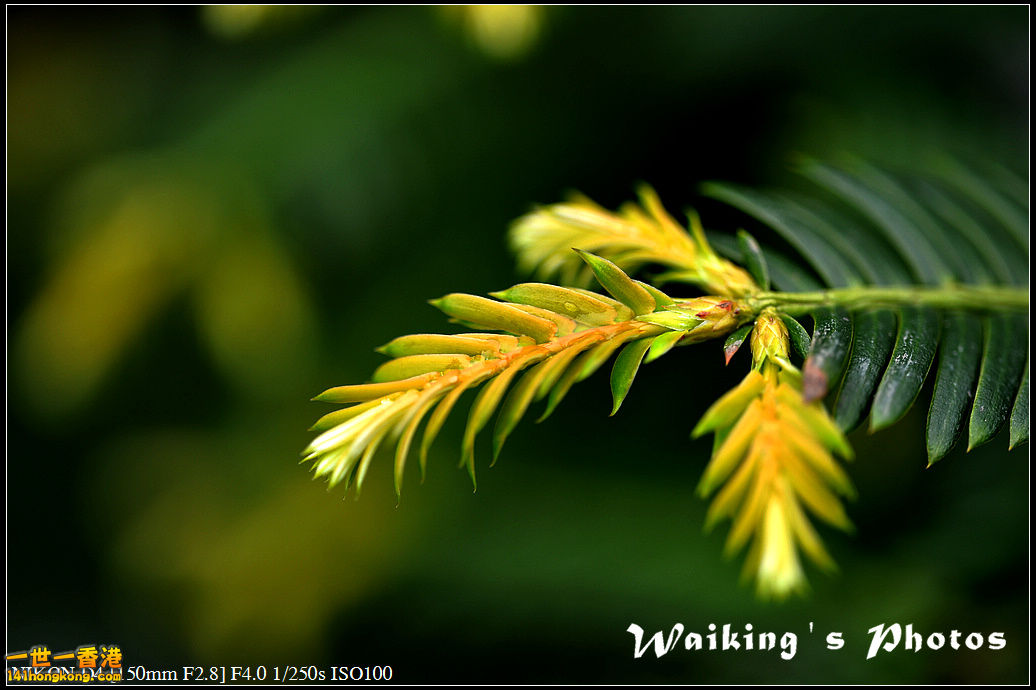 DSC_0634.jpg