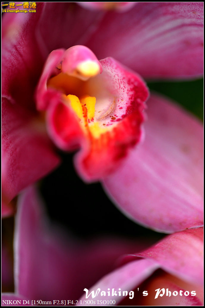 DSC_0651.jpg