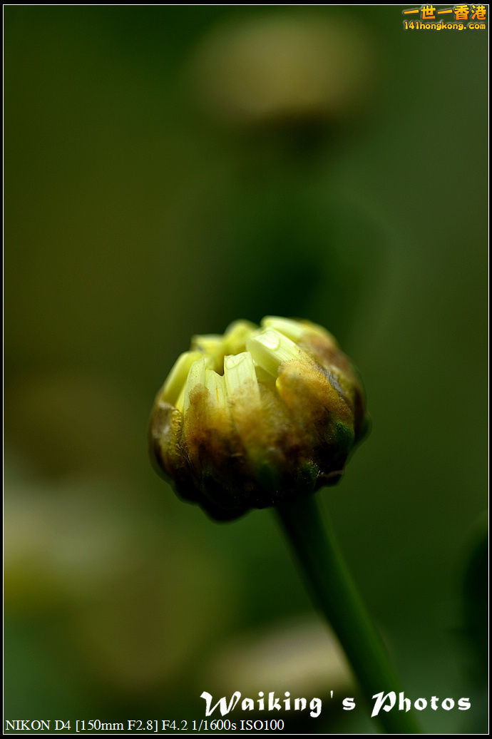DSC_0692.jpg