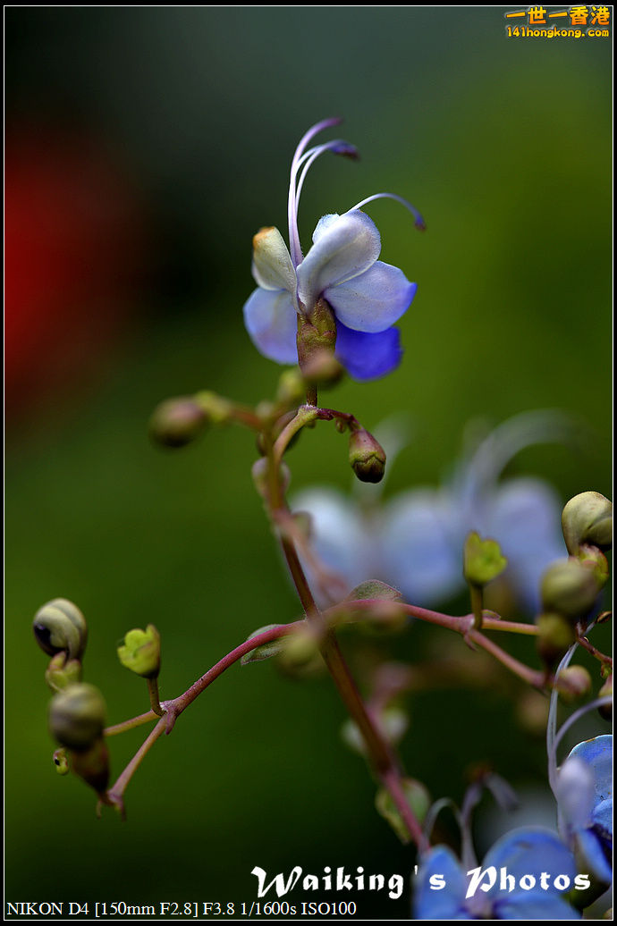 DSC_0711.jpg