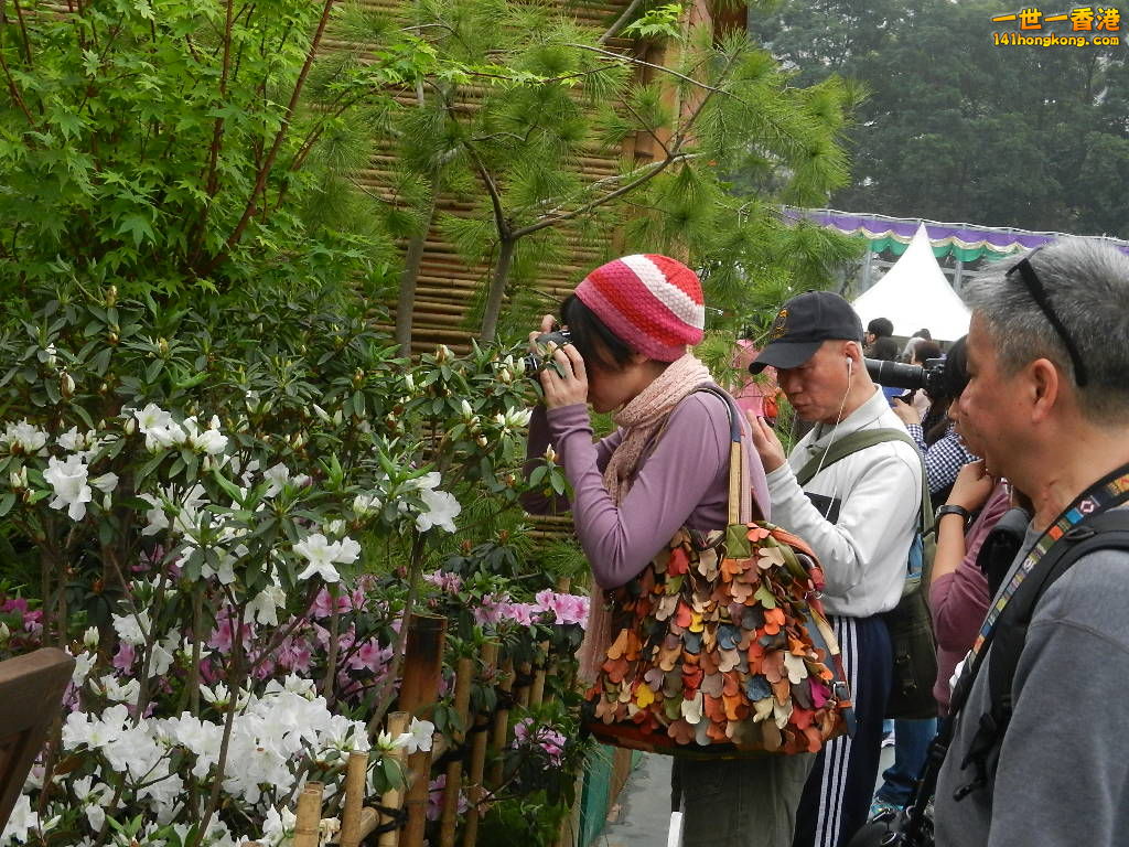 DSCN8711.JPG