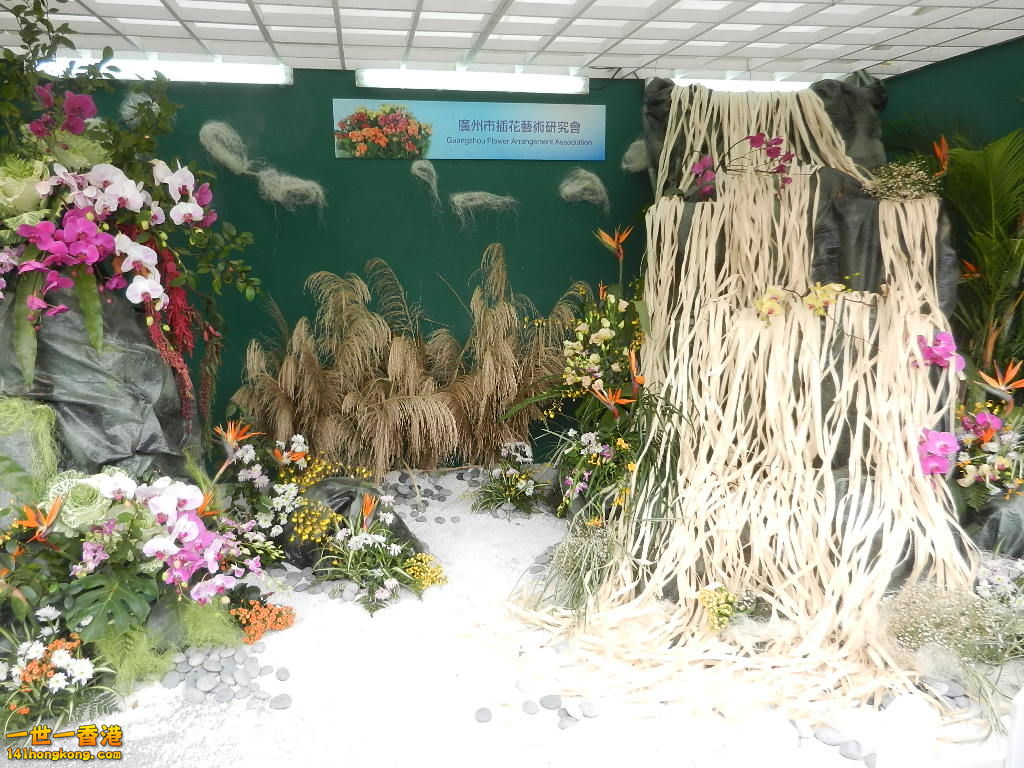 DSCN8601.JPG